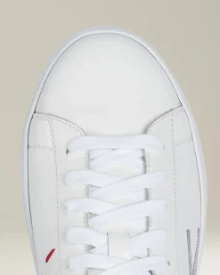 Scarpa Sneakers Pelle Di Vitello